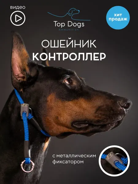 Тренировочный ошейник-удавка с металлическим фиксатором