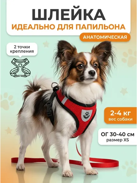 Шлейка с поводком светоотражающая для папильона