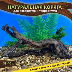 Коряга для аквариума натуральная 38-40см . Декор для аквариума .
