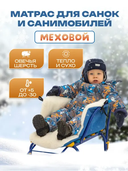 Святополье Матрас-вкладыш в санки и санимобиль