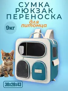 Рюкзак-переноска для кошек YBtooPet, 38x28x43 см (бирюзовый)