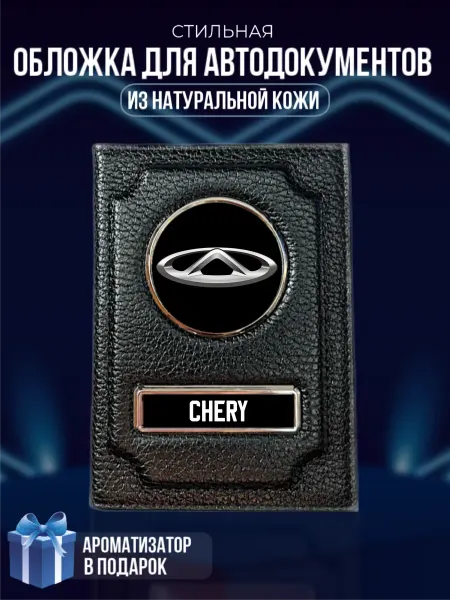 LioNN Обложка на паспорт и для автодокументов Chery