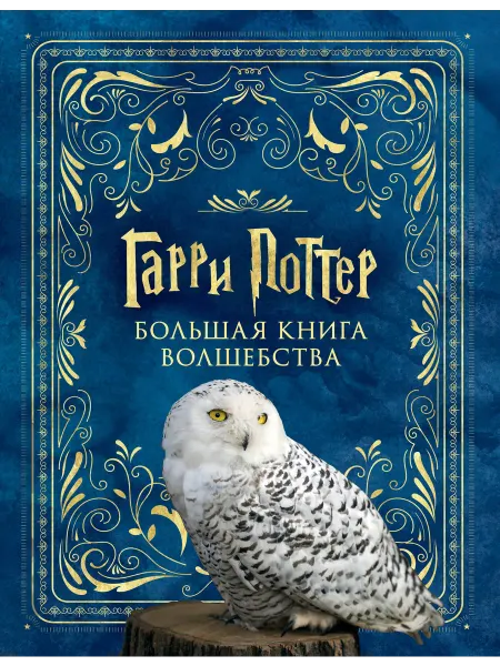 24 Наш Книжный Дом Гарри Поттер. Большая книга волшебства