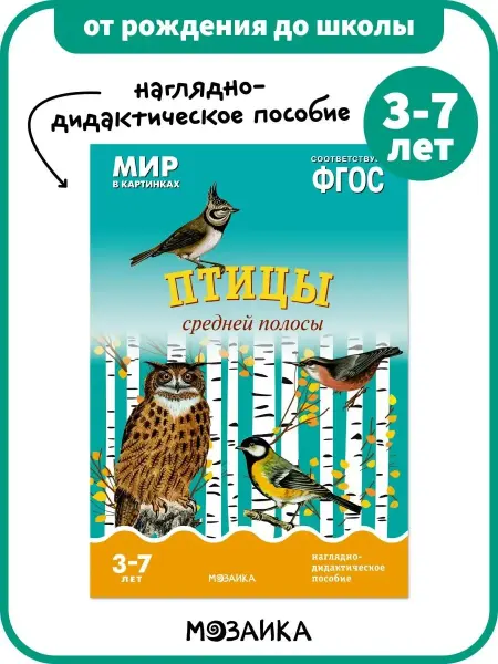 ОТ РОЖДЕНИЯ ДО ШКОЛЫ Развивающее пособие для детей, книга птицы средней полосы 3+