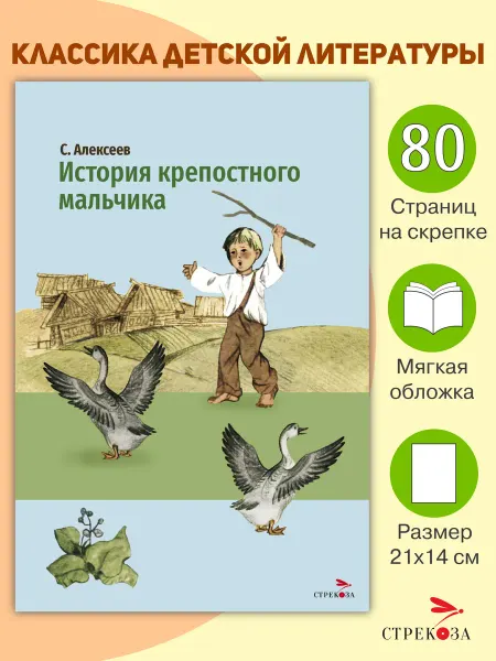 Издательство Стрекоза История крепостного мальчика. Сергей Алексеев