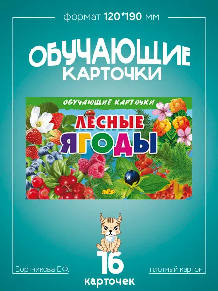 Развивающие карточки для детей Лесные Ягоды