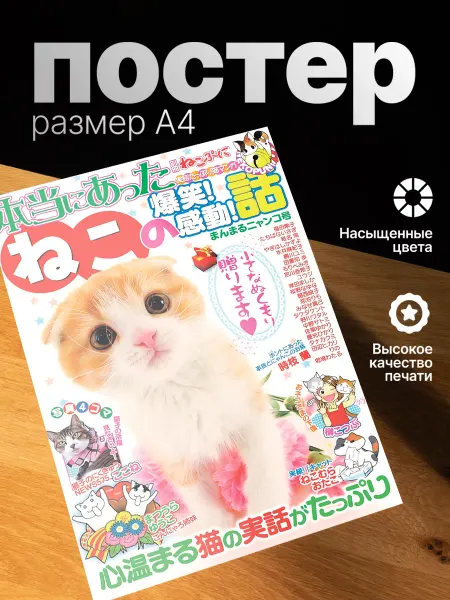 Zekeks Плакат на стену стильный A4 без рамки Котики