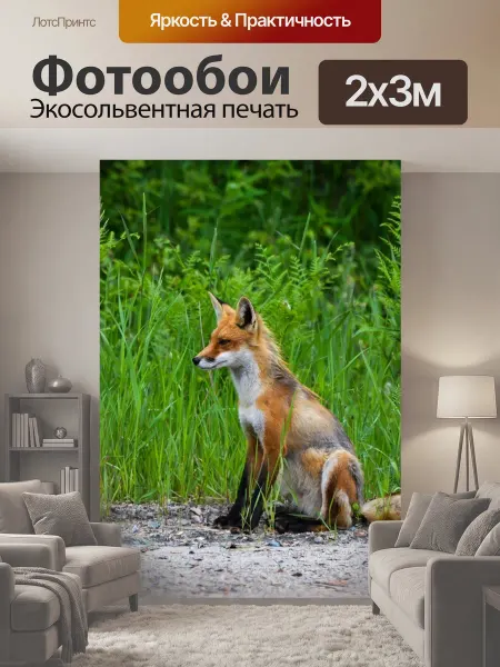 LotsPrints Фотообои "Лиса, red fox, дикий" 2x3м