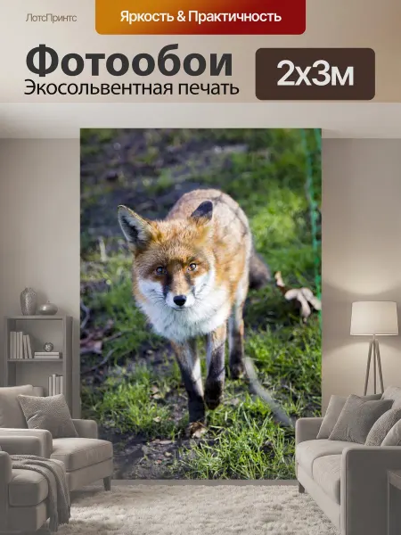 LotsPrints Фотообои "Рыжая лиса Red Fox, животные дюны лес." 2x3м