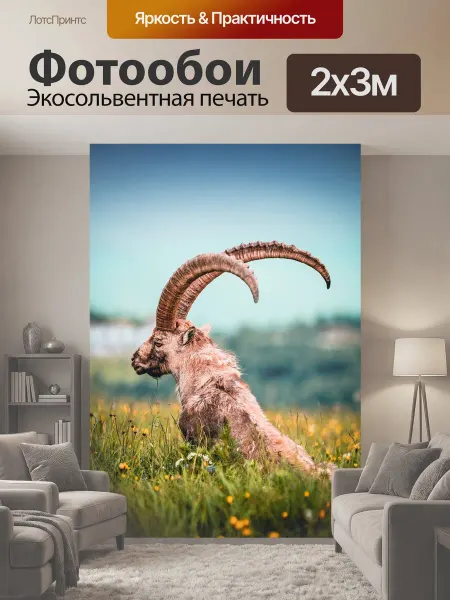 LotsPrints Фотообои "Козерог, горные козлы, альпы" 2x3м