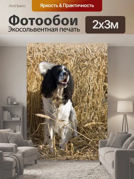 LotsPrints Фотообои "Собака в поле пшеницы Английский." 2x3м