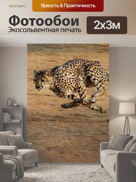 LotsPrints Фотообои "Гепард, африка, намибия" 2x3м