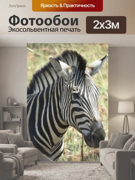 LotsPrints Фотообои "Животное, африка, голова зебры" 2x3м
