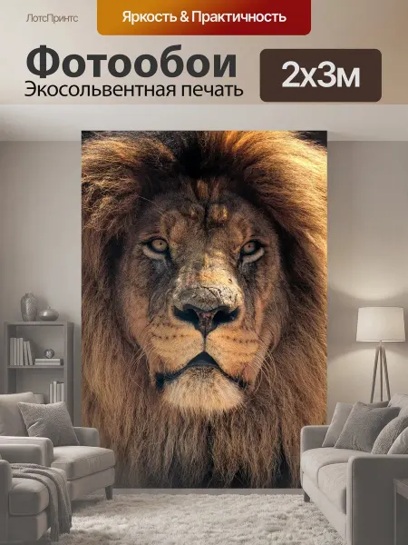 LotsPrints Фотообои "Лев, африка, природа" 2x3м