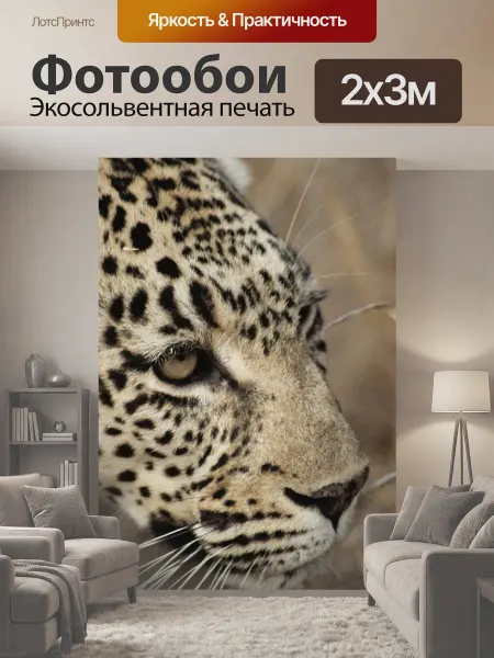 LotsPrints Фотообои "Леопард, южная африка, сафари" 2x3м