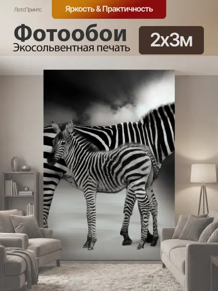 LotsPrints Фотообои "Зебра, животное, африке" 2x3м