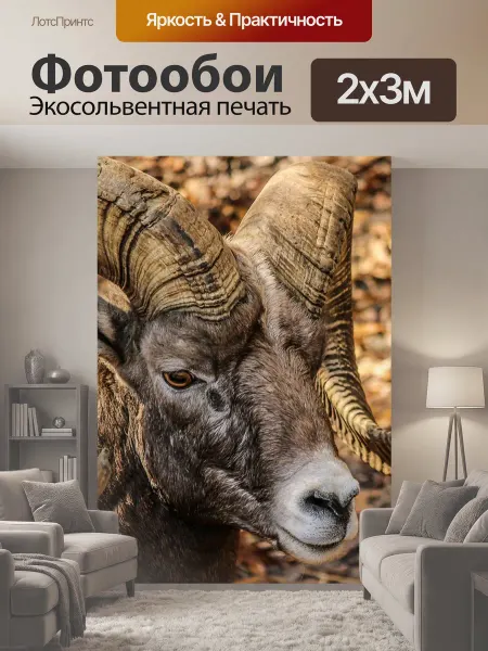 LotsPrints Фотообои "Животное, снежный баран, дикая природа" 2x3м