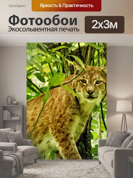 LotsPrints Фотообои "Рысь, дикий кот, большой кот" 2x3м