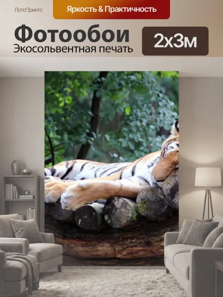 LotsPrints Фотообои "Тигр, большой кот, пустыня" 2x3м