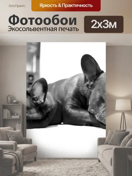 LotsPrints Фотообои "Собака, собаки, бульдог" 2x3м