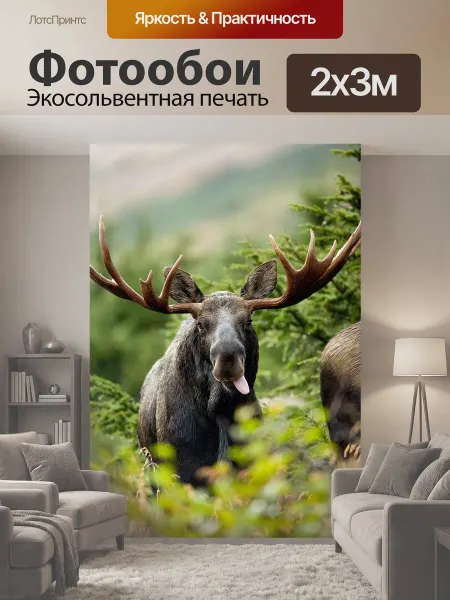 LotsPrints Фотообои "Бык, выстрелил, лось" 2x3м