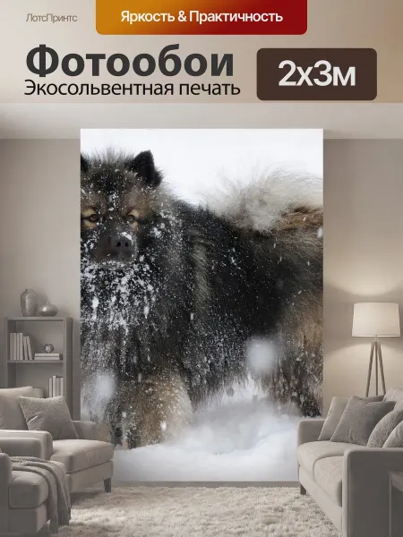 LotsPrints Фотообои "Вольфшпиц, собака, снег" 2x3м