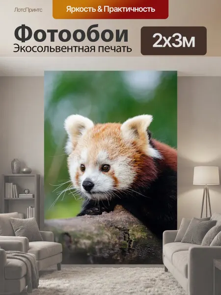 LotsPrints Фотообои "Восхитительный, животное, размытие" 2x3м
