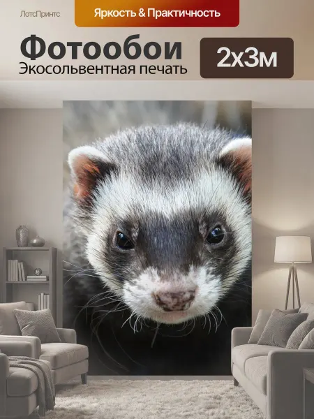 LotsPrints Фотообои "Хорек, животное, глаза" 2x3м