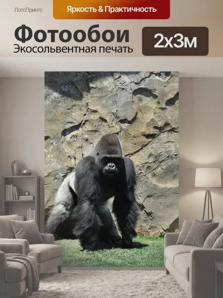 LotsPrints Фотообои "Горилла, обезьяна, погрузчик" 2x3м