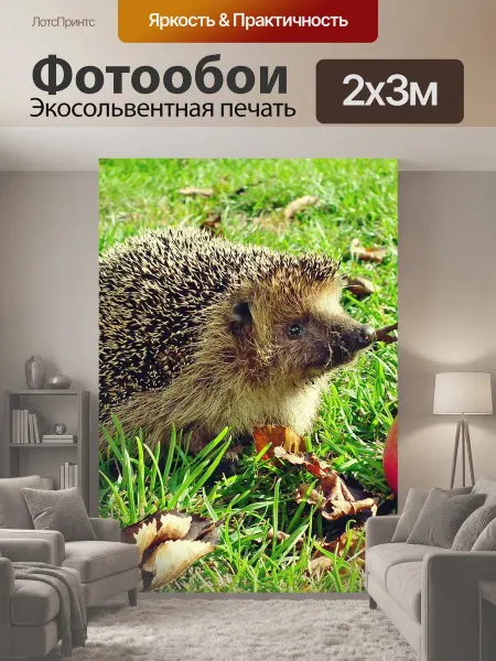 LotsPrints Фотообои "Еж, грызун, животное" 2x3м