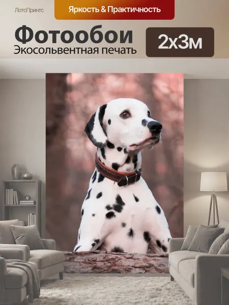 LotsPrints Фотообои "Собака, животное, далматинец" 2x3м