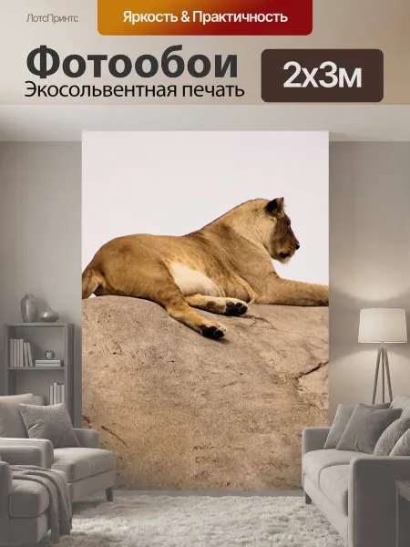 LotsPrints Фотообои "Природа, животный мир, дикая природа" 2x3м