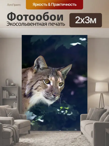 LotsPrints Фотообои "Рысь, дикая кошка, хищник" 2x3м