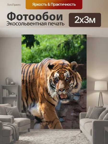 LotsPrints Фотообои "Тигр, дикие, кошачий" 2x3м