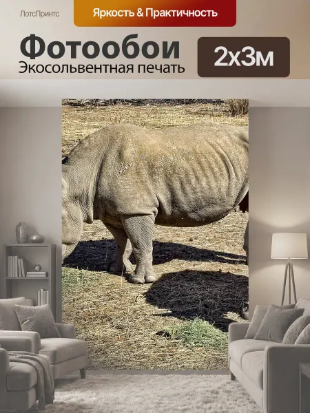 LotsPrints Фотообои "Носорог, белый, дикий" 2x3м