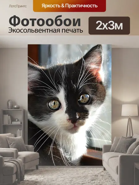 LotsPrints Фотообои "Кот, животное, домашний питомец" 2x3м