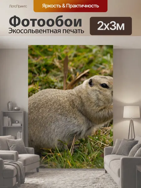 LotsPrints Фотообои "Еда, суслик, коричневый" 2x3м