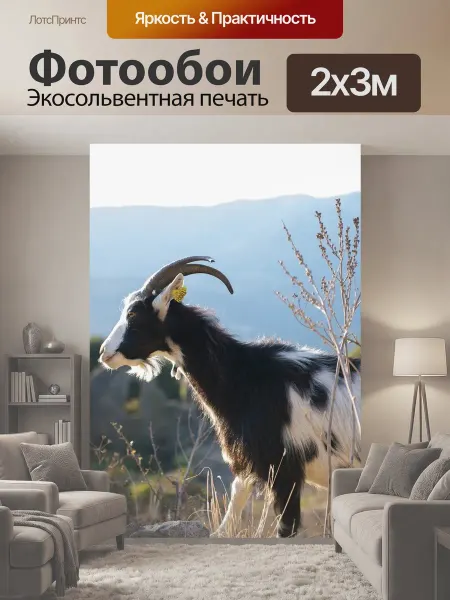 LotsPrints Фотообои "Корсиканская коза, животное, море" 2x3м