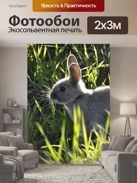 LotsPrints Фотообои "Кролик, животное, природа" 2x3м