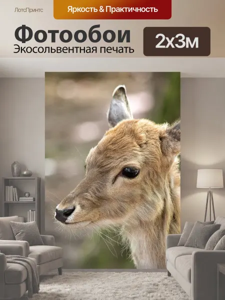 LotsPrints Фотообои "Лань, млекопитающее, животное" 2x3м