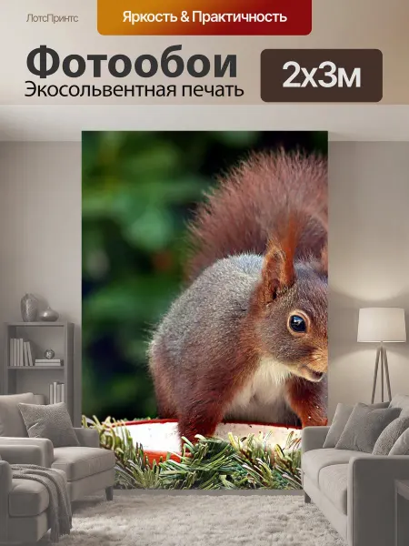 LotsPrints Фотообои "Белка, животное, млекопитающее" 2x3м