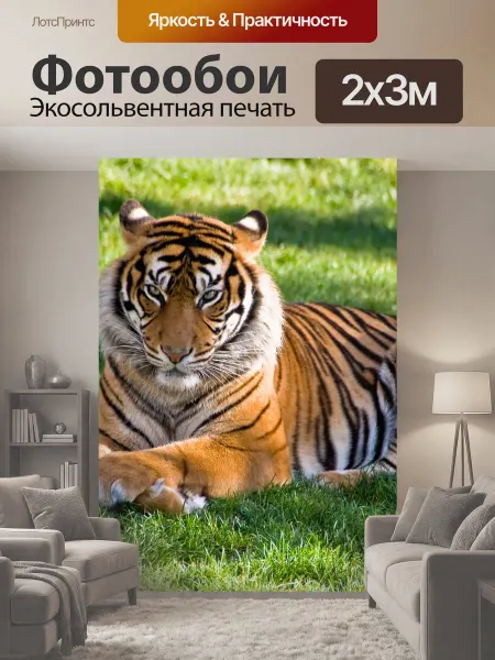 LotsPrints Фотообои "Тигр, остальные, животное" 2x3м