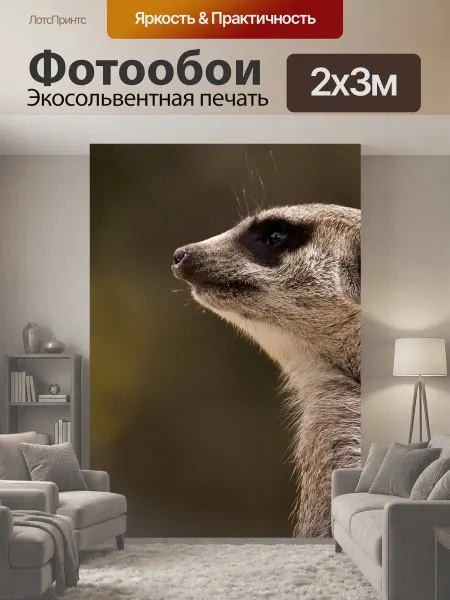 LotsPrints Фотообои "Сурикат, животное, природа" 2x3м