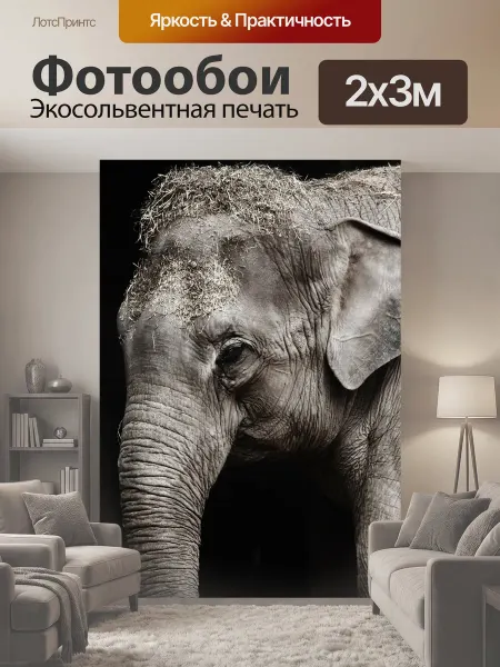 LotsPrints Фотообои "Сафари, животное, слон" 2x3м
