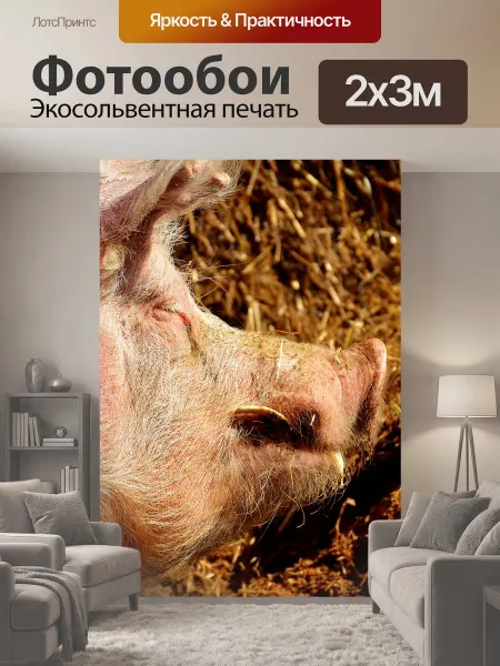 LotsPrints Фотообои "Свинья, сельскохозяйственное животное." 2x3м