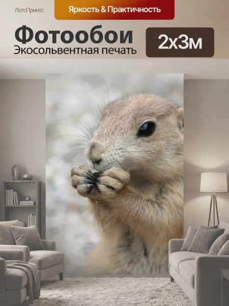 LotsPrints Фотообои "Луговые собачки, зоопарк, животные" 2x3м
