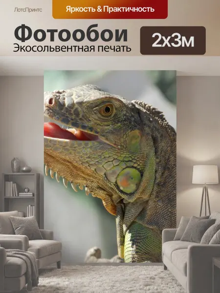 LotsPrints Фотообои "Игуана, рептилия, животные" 2x3м