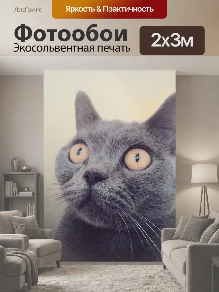 LotsPrints Фотообои "Кот, животные, лицо" 2x3м