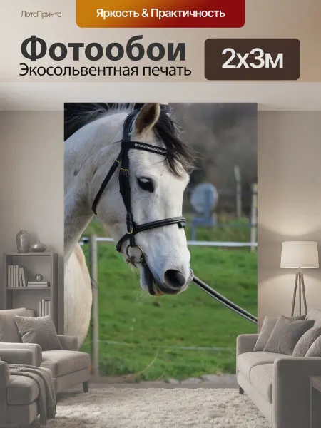 LotsPrints Фотообои "Лошадь, лошади, животные" 2x3м