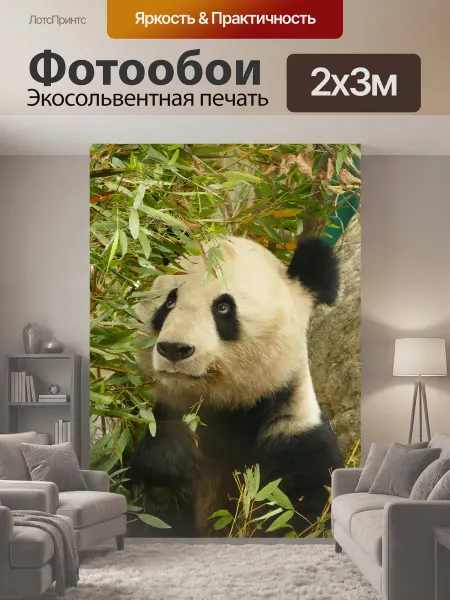 LotsPrints Фотообои "Панда, животные, нести" 2x3м